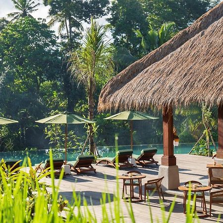 ホテル アディワナ スウェタ【Chse認定】 ウブド エクステリア 写真 The swimming pool at the hotel