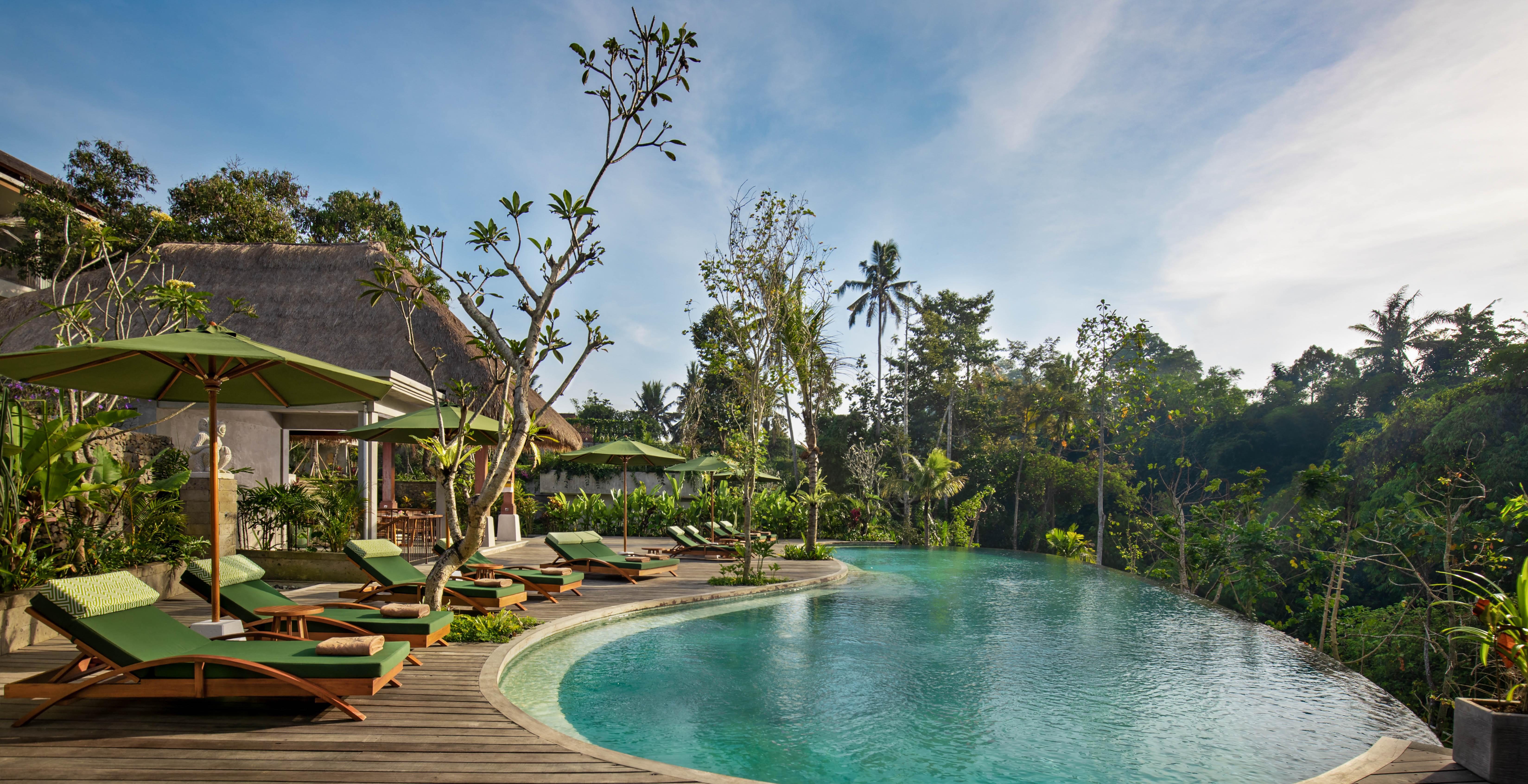 ホテル アディワナ スウェタ【Chse認定】 ウブド エクステリア 写真 The resort's infinity pool