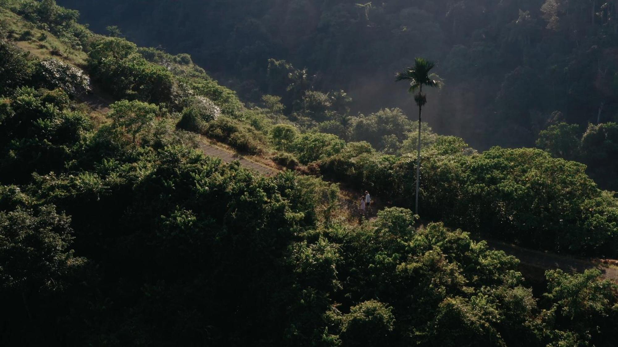 ホテル アディワナ スウェタ【Chse認定】 ウブド エクステリア 写真 A view of the Nilgiris